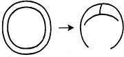 Tự Học 512 Kanji Look and Learn | Bài 1 14 yen circle