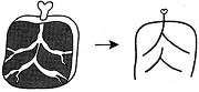 Tự Học 512 Kanji Look and Learn | Bài 11 8 meat