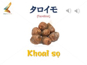 46491533_2202139476701039_5356154548341702656_o