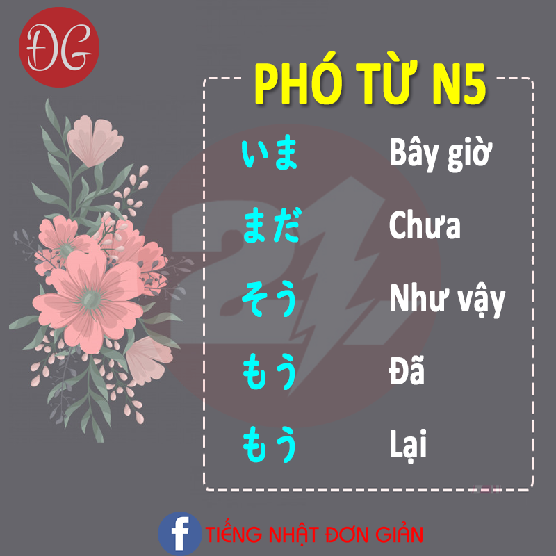 PHÓ TỪ N5 THÔNG DỤNG