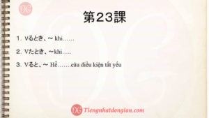 23