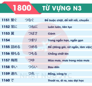 1800TVN3_116