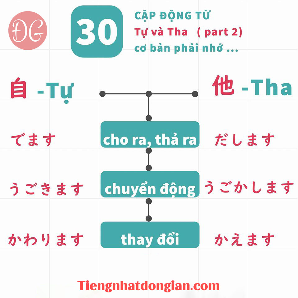 30 CẶP TỰ VÀ THA ĐỘNG TỪ CƠ BẢN PHẢI NHỚ