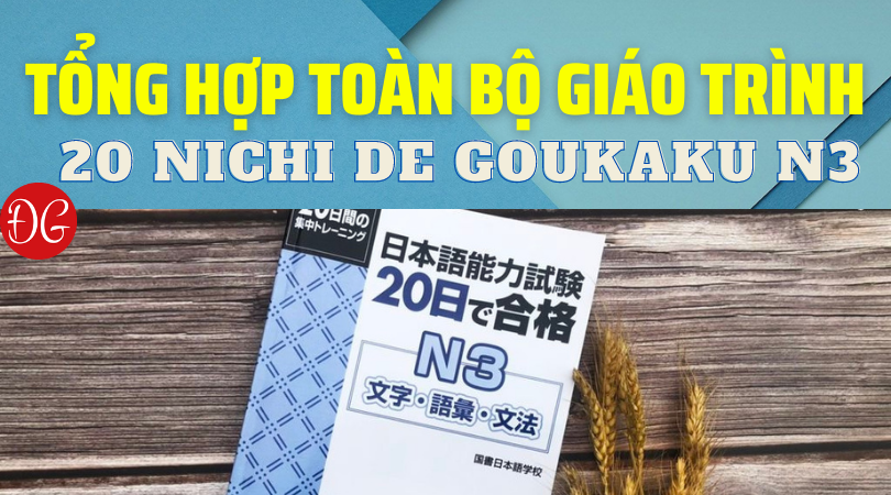 20 Nichi de Goukaku N3