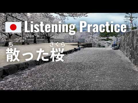 Fallen cherry blossoms at a Japanese Castle | Japanese Listening Practice