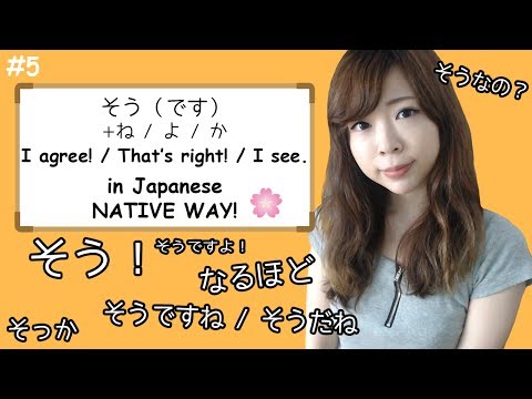 #5 How to say “I see”, “I agree”, “That’s right” (そう family) – NATIVE WAY ┃JAPANESE AMMO