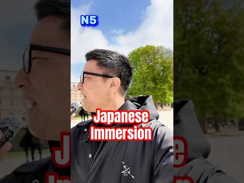 【N5】Easy Japanese practice