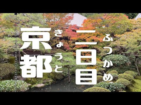 【Kyoto Vlog#1-2】秋の京都旅 Day2🍁🍡 (Kyoto Vlog in Autumn)