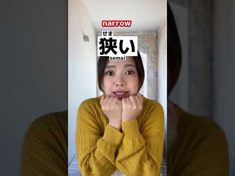 Quick #japanese test!📝🔥 #learnjapanese #nihongo #jlpt #日本語 #shorts