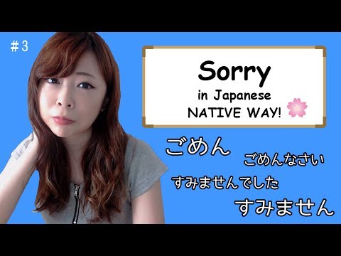 #3 How to say Sorry (Differences) – NATIVE WAY ┃JAPANESE AMMO