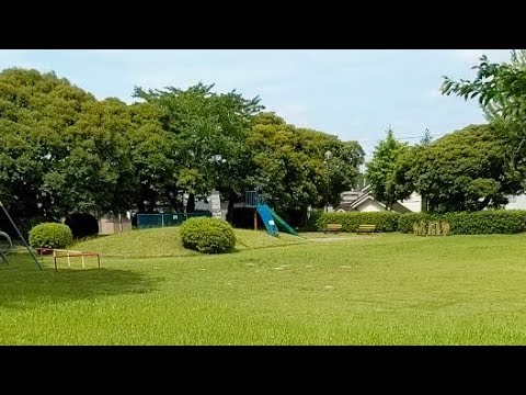 Live 　飛行機に乗ってるとき何をしますか?