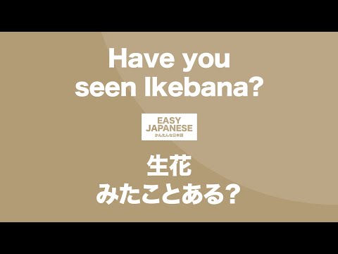 #109 Have you seen Ikebana?｜生花みたことある？ / EASY JAPANESE Japanese Podcast for beginners