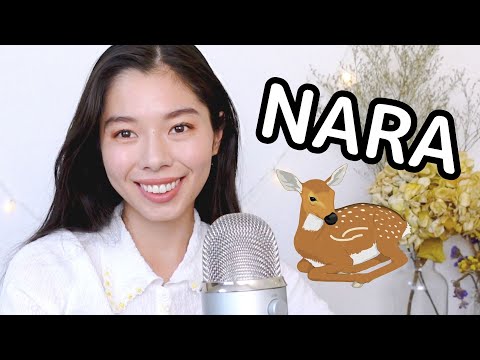 255 奈良(Nara)の人はみんな優しい？！奈良のすてきなところ💕
