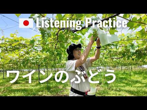 An Inaka Day in a Vineyard | Japanese Listening Practice