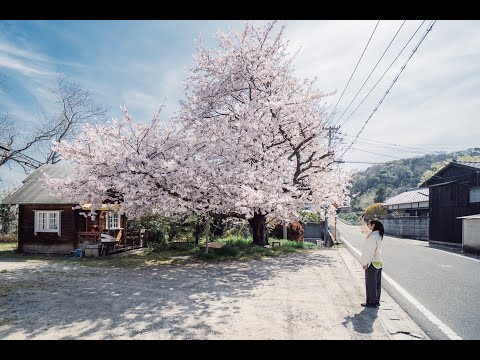 A day to relax and hang out on an island – Spring in Japan 2022