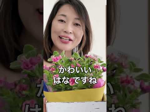はな “Flower” or “Nose”? | Can You Hear the Difference?  | Odaka and Heiban
