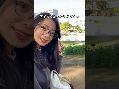 【日本語の聴解】噴水(ふんすい)　#japaneselistening