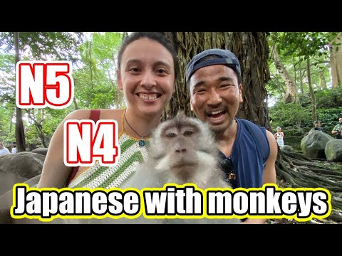 【N5-N4】Bali Ubud with monkeys – Easy Japanese Vlog