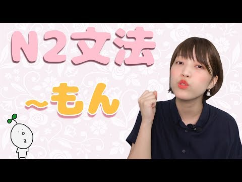 【N2文法】#17 〜もん