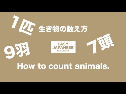 #017 How to count animals.｜生き物の数え方 / EASY JAPANESE Japanese Podcast for beginners