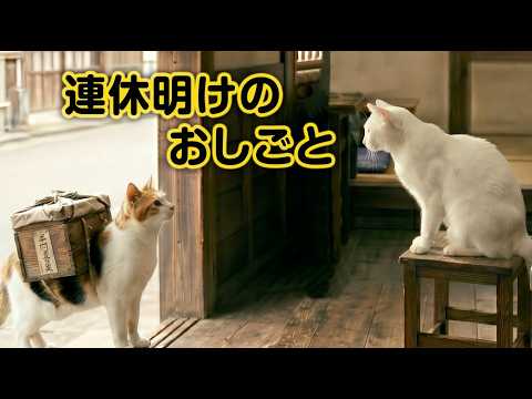 【白猫の日常】連休明けのおしごと｜ねこせいかつ｜Back to Work After the Holidays