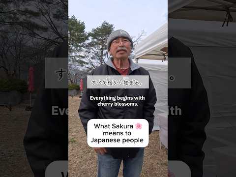 Sakura = Start Line