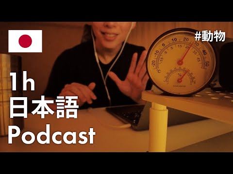 【Japanese Podcast】Animal Talk Time – Master 793 Essential Words Without Even Noticing.