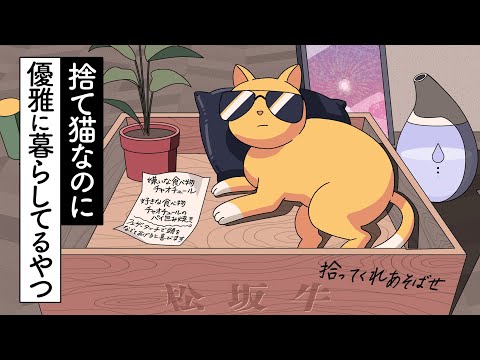 捨て猫なのに優雅に暮らしてるやつ【アニメ】【コント】