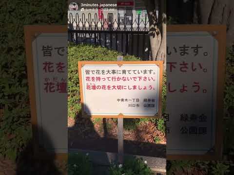 花壇：かだん