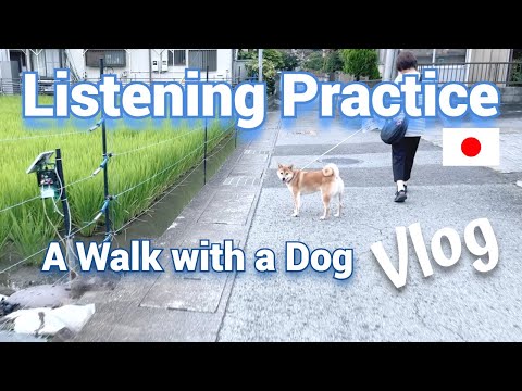 [Eng Sub] A Walk with a Dog | Japanese Listening Practice