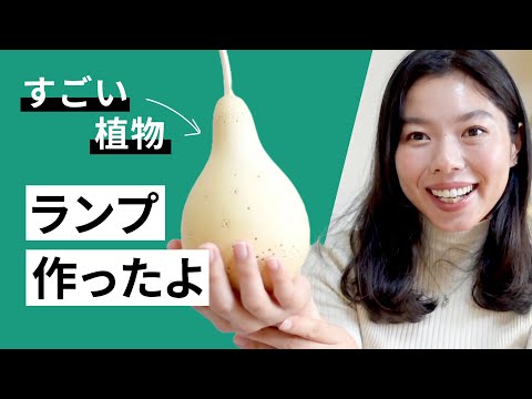 509 すごく便利な植物「ひょうたん」でランプを作ってみました！#日本語ポッドキャスト