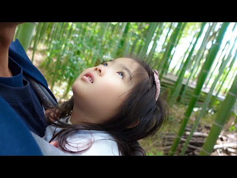 Bamboo in Kyoto | Go to a Geisha dance show | Vlog