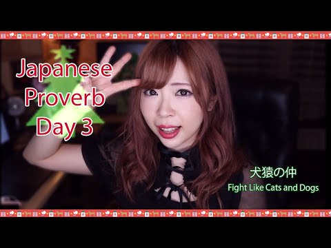 #3 Japanese Proverbs┃Fight Like Cats And Dogs 犬と・・・？