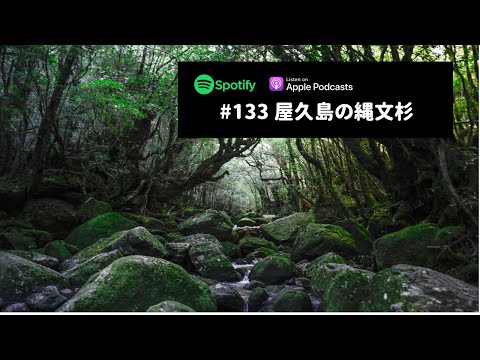 Japanese Podcast #133 屋久島の縄文杉