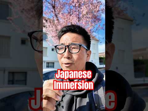 【N5】Easy Japanese immersion