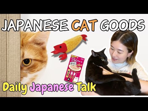 【Daily Japanese Talk🌱】My Top Picks for Japanese Cat Goods🐈🧡私のおすすめの猫グッズ