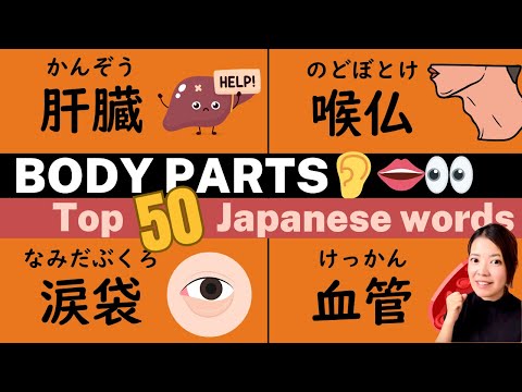 【Japanese Practice】The Best 50 Common Words related to Body Parts.