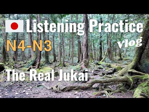 The Most Beautiful Forest in Japan | Japanese Learning Practice