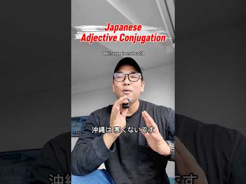 【N5】Japanese Adjective conjugation immersion practice