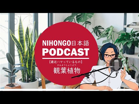 最近ハマっているコト：「🌻観葉植物🪴」 (Japanese Radio for Listening Practice)