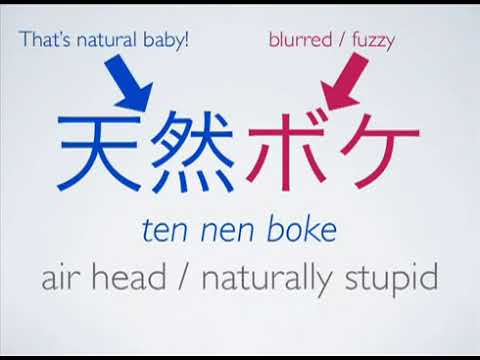 Japanese Slang 04: Tennenboke