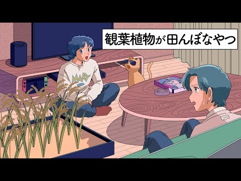 観葉植物が田んぼなやつ【アニメ】【コント】