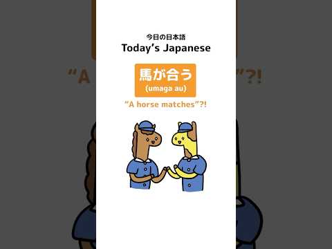 Japanese Idiom: 馬が合う (umaga au) “A horse matches”?! #shorts