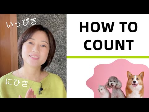 How to Count Your Pets – Japanese counting words, ひきfor dogs and cats, わ for birds! ペットのかぞえかた