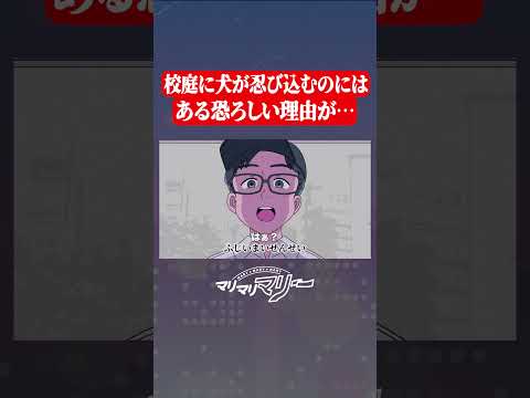 学校の校庭に犬が忍び込むのには…恐ろしい理由があるんです #アニメ #コント #マリマリマリー
