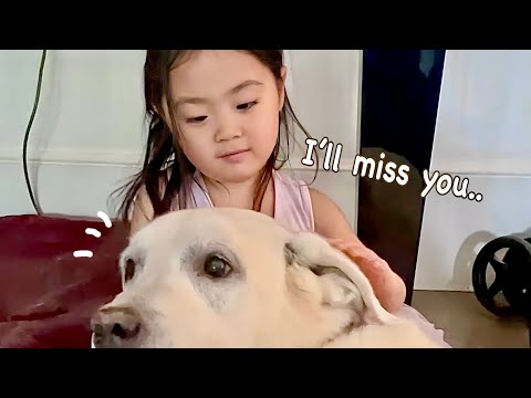 Last day in Hong Kong | friends made on the trip
