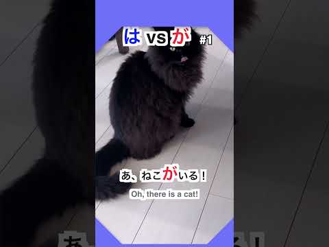 Which particle to use, は or が? #1