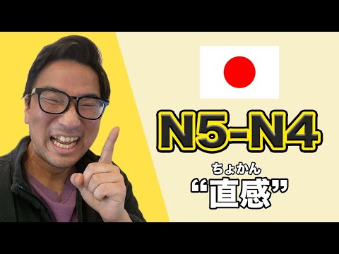 【N5-N4】Ep240 Intuition / Japanese podcast for beginners