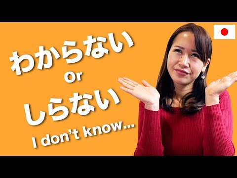Is しらない (shiranai) RUDE? The difference between わからない and しらない (*Common mistake)