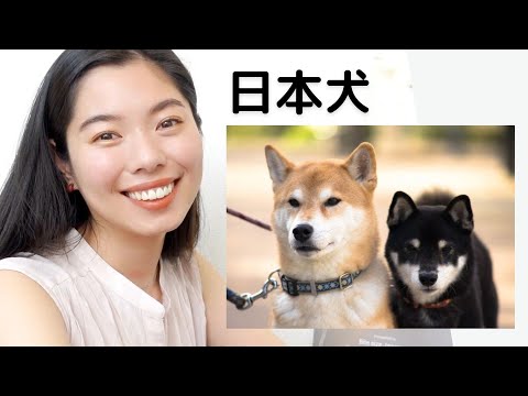 283 日本犬が好きー！しば、あきたetc 🐶 #日本語ポッドキャスト
